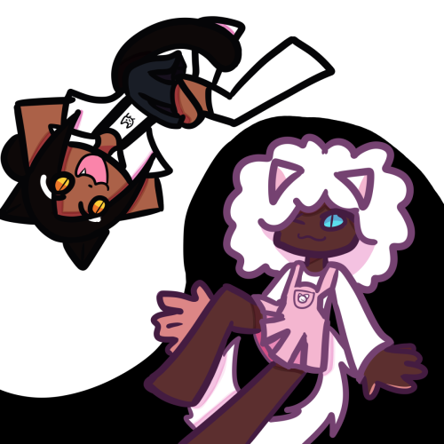 yin n yang